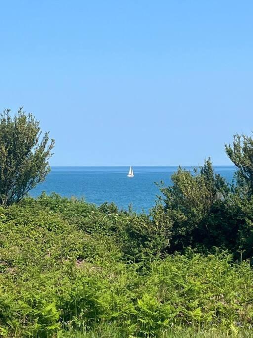 Josh's Place Near Paignton *